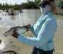 bonfishlinda21